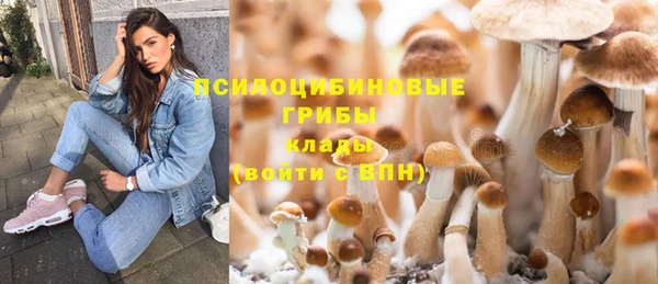 прущая мука Аркадак