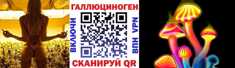 Галлюциногенные грибы Cubensis Серов