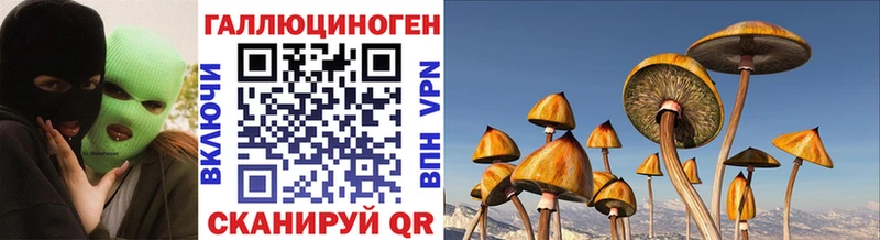 Галлюциногенные грибы Cubensis  Серов 