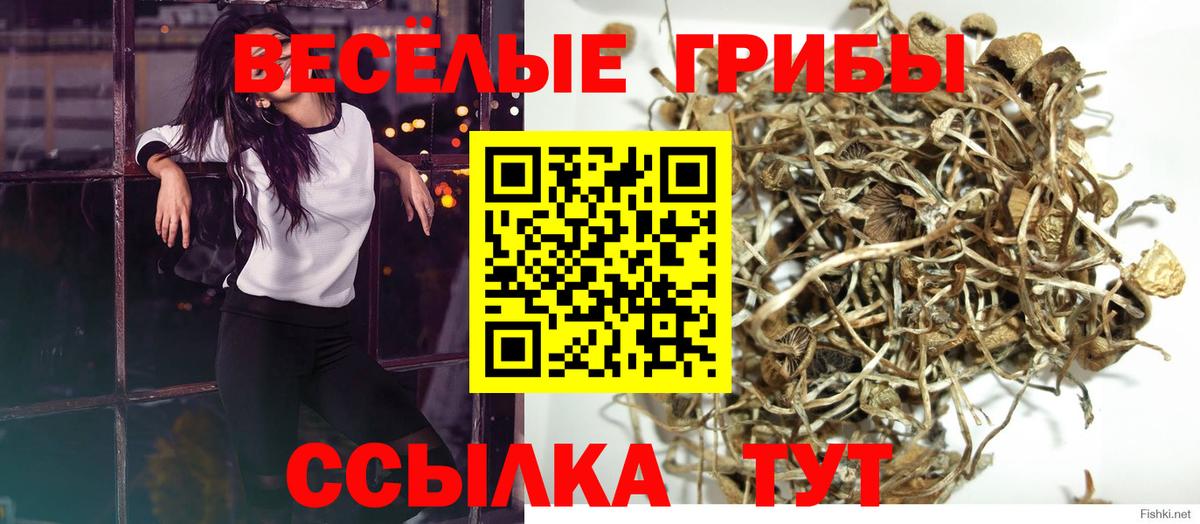 Псилоцибиновые грибы прущие грибы  Вход с VPN  Серов 